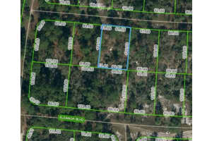 353 Paradise Ave, LAKE PLACID