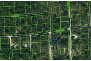 233 Dreamers Dr, LAKE PLACID