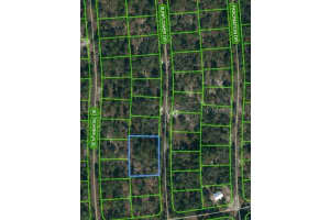 244 Sunflower Dr, LAKE PLACID