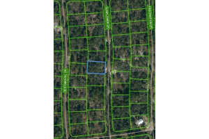 256 Sunflower Ave, LAKE PLACID