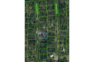 253 Sunflower Ave, LAKE PLACID