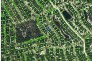316 Summersweet Dr, LAKE PLACID