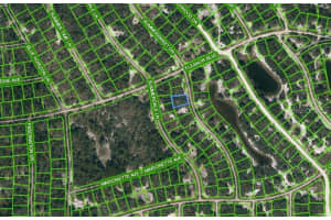 322 Summersweet Dr, LAKE PLACID