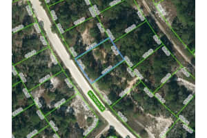 355 Wildwood Dr, LAKE PLACID