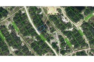 315 Wildwood Dr, LAKE PLACID