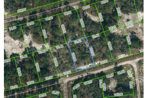 388 Crown Dr, LAKE PLACID