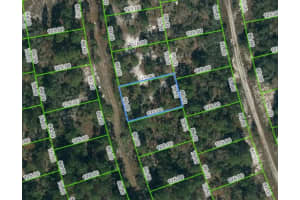 217 Blue Horizon Dr, LAKE PLACID