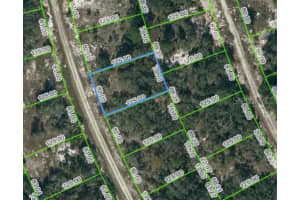 217 Blue Sky Dr, LAKE PLACID