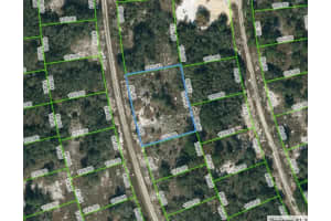 223 Blue Sky Dr, LAKE PLACID