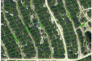 218 Briarway Dr, LAKE PLACID