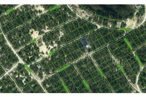 423 Tahiti Ln, LAKE PLACID