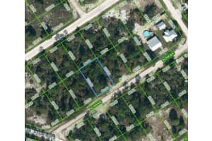 450 Aloha Ave, LAKE PLACID