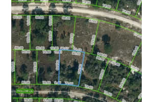 408 Hollow Ln, LAKE PLACID