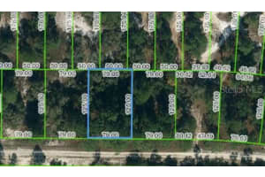 428 Morningside Dr, LAKE PLACID