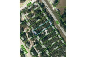 1025 County Road 29, LAKE PLACID
