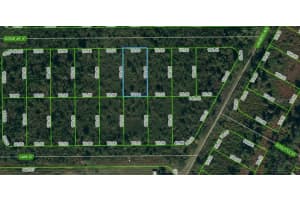 1431 Scrub Jay St, LAKE PLACID