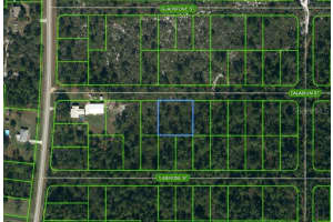 1411 Caladium St, LAKE PLACID