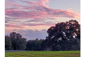 1077 Sw 144th Court Rd, OCALA