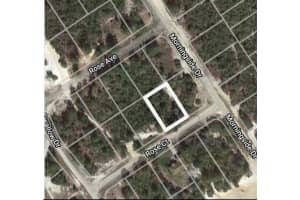 456 Hawick Ct, LAKE PLACID
