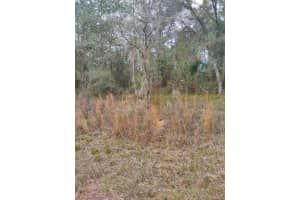 Nw Shamrock Ave, DUNNELLON