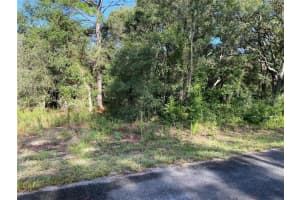 Sw Breezy Point Dr, DUNNELLON