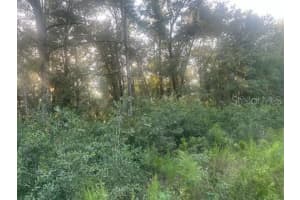 Lots 2 & 3 Sw 156 Ave, OCALA