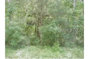 0 Sw 17 Pl, OCALA
