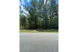 Tbd Sw 59th Ln, DUNNELLON