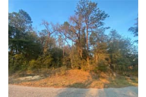 Lot 28 Sw 206 Cir, DUNNELLON