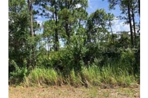 1127 Lake Groves Rd Nw, LAKE PLACID