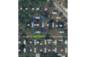 344 Moon River Ave, LAKE PLACID