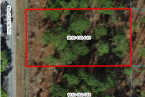 Sw Tree Top Rd, DUNNELLON