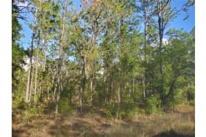 Tbd Sw 159 Ave, OCALA