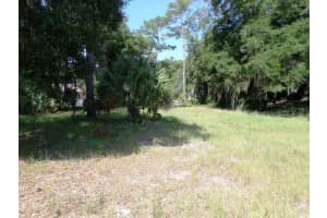 00 Blue Heron Ct, DUNNELLON