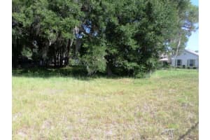 000 Blue Heron Ct #000, DUNNELLON