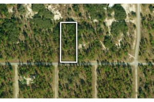 Se 105th Lane, DUNNELLON