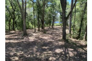 Lot 163 Sw Shorewood Dr, DUNNELLON