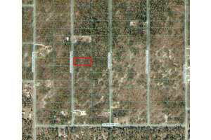 Tbd Sw Arrow Leaf Trl, DUNNELLON