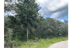 Sw 152nd Pl, DUNNELLON