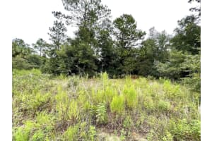 Begonia Ct, DUNNELLON