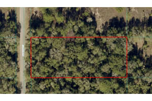 Begonia Ct, DUNNELLON