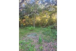 Tbd Se 75th Street, OCALA