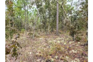 Sw 87th St, DUNNELLON