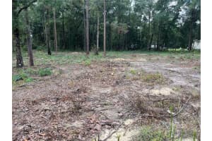 16340 Sw 55th, OCALA