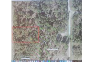 Tbd Sw 125 Ter, DUNNELLON