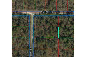 Lot 37 Se 126th Ter, DUNNELLON