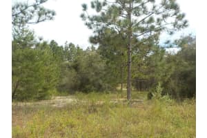 Lot 21 Sw Floral Ct, DUNNELLON