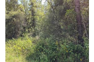 Lot 14 Sw 156th Ct, OCALA