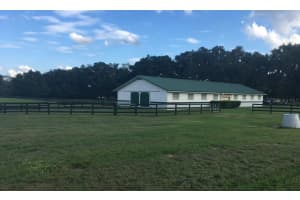 295 Ne 110th St, OCALA