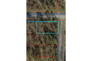 Lot 1 Se 131st Ave, DUNNELLON